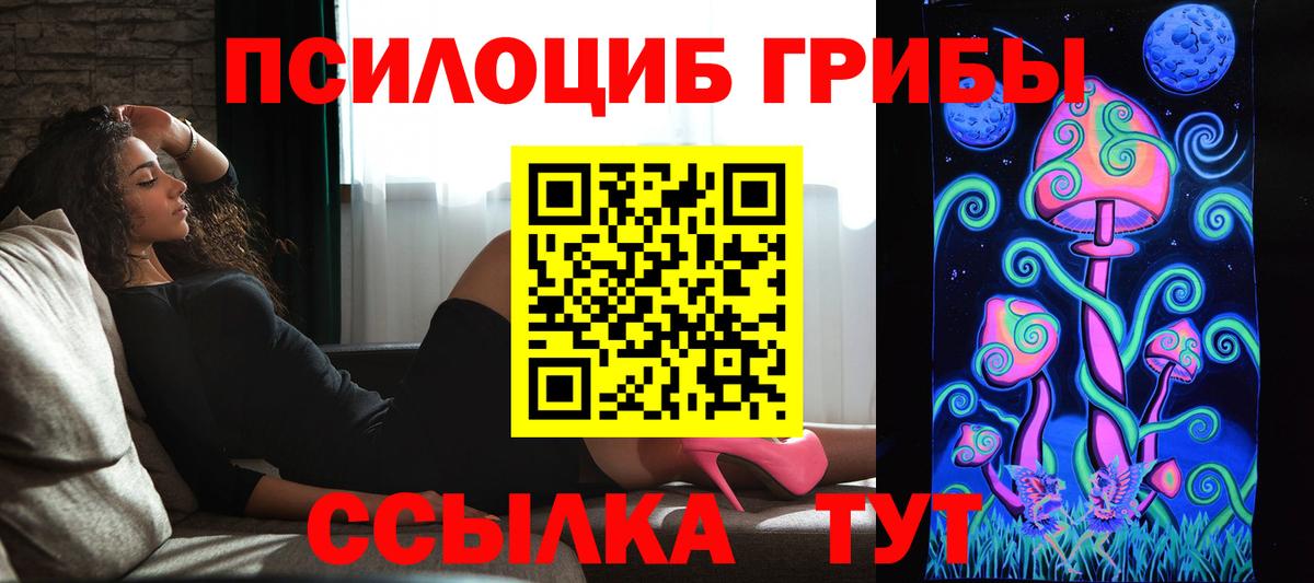 Галлюциногенные грибы Psilocybe  Вход с VPN  Ржев 